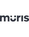 Muris